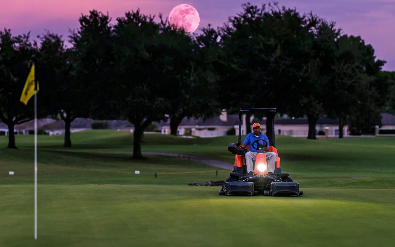 RS7129_Bayhill Eclipse - Soft - 1